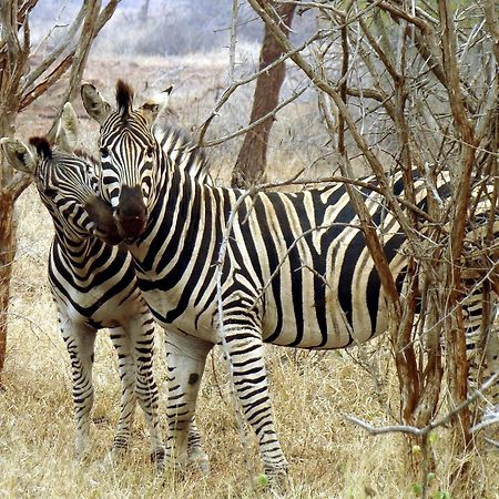 Ndlovu Log Home Dinokeng Klipdrift Exterior foto