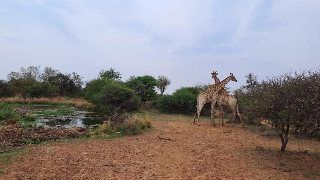 Ndlovu Log Home Dinokeng Klipdrift Exterior foto