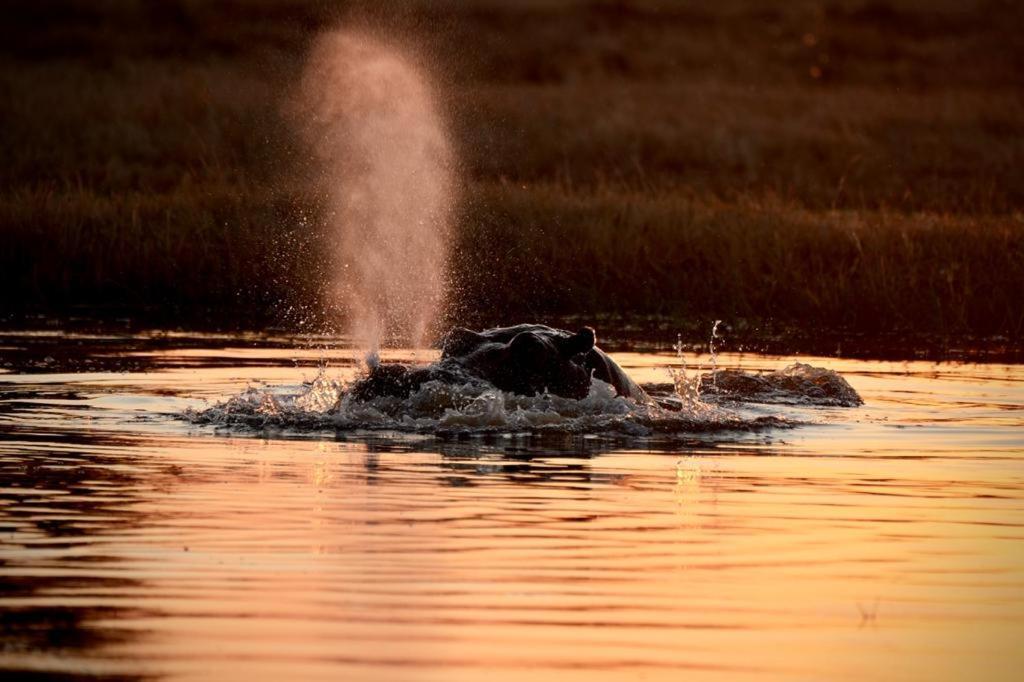 Ndlovu Log Home Dinokeng Klipdrift Exterior foto