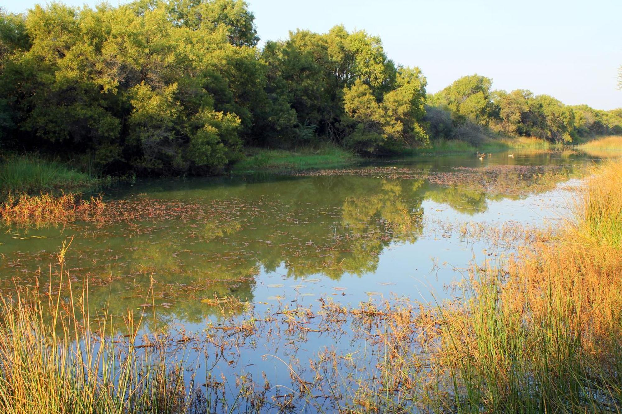 Ndlovu Log Home Dinokeng Klipdrift Exterior foto