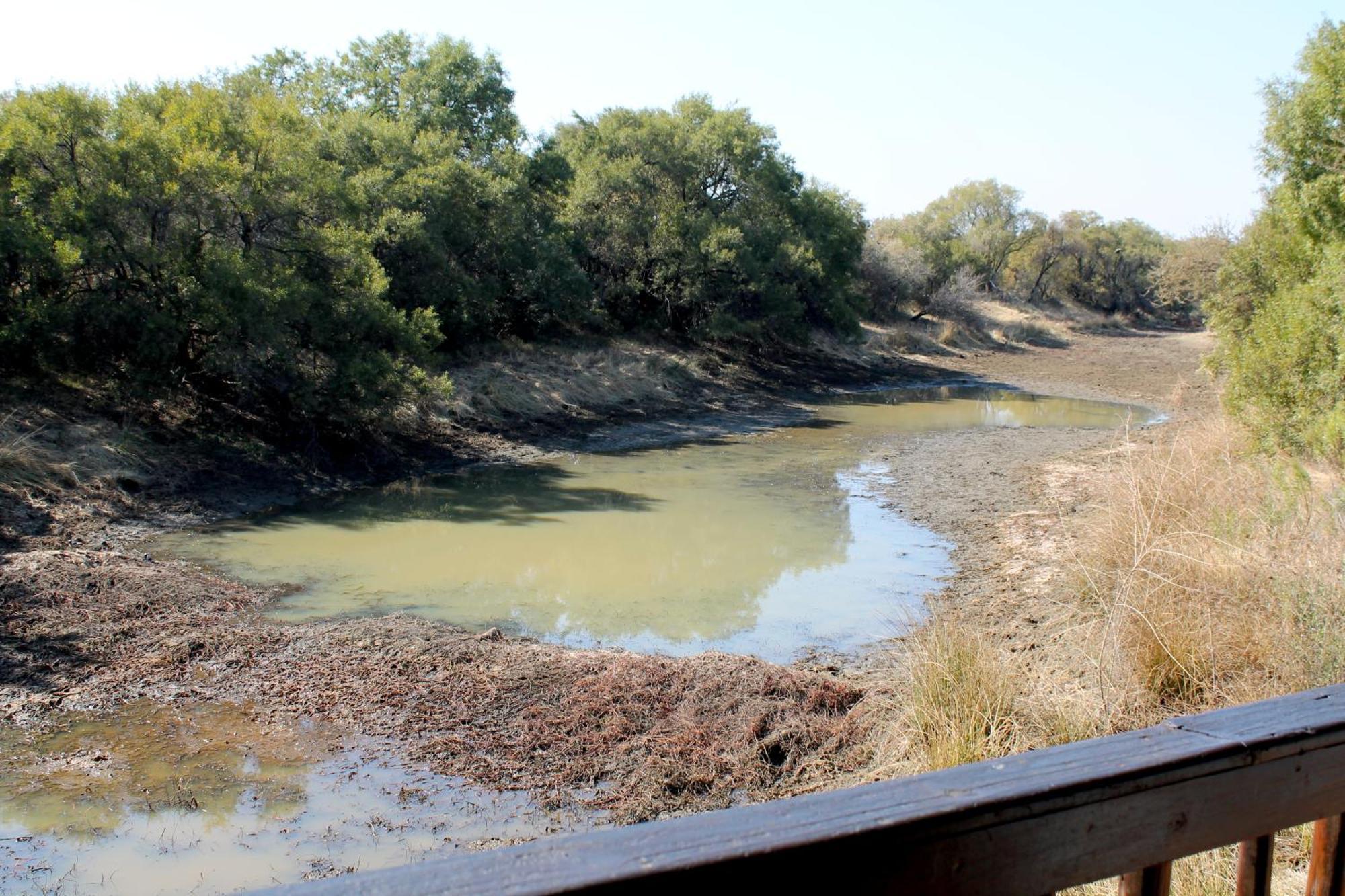 Ndlovu Log Home Dinokeng Klipdrift Exterior foto